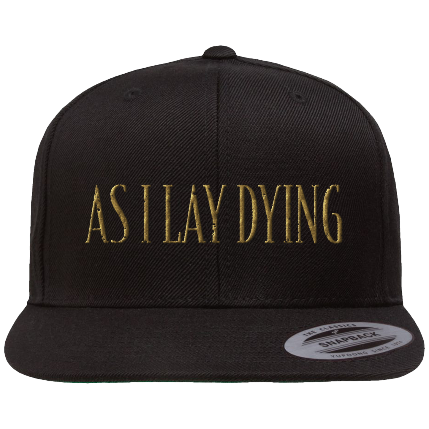 Logo Snapback Hat